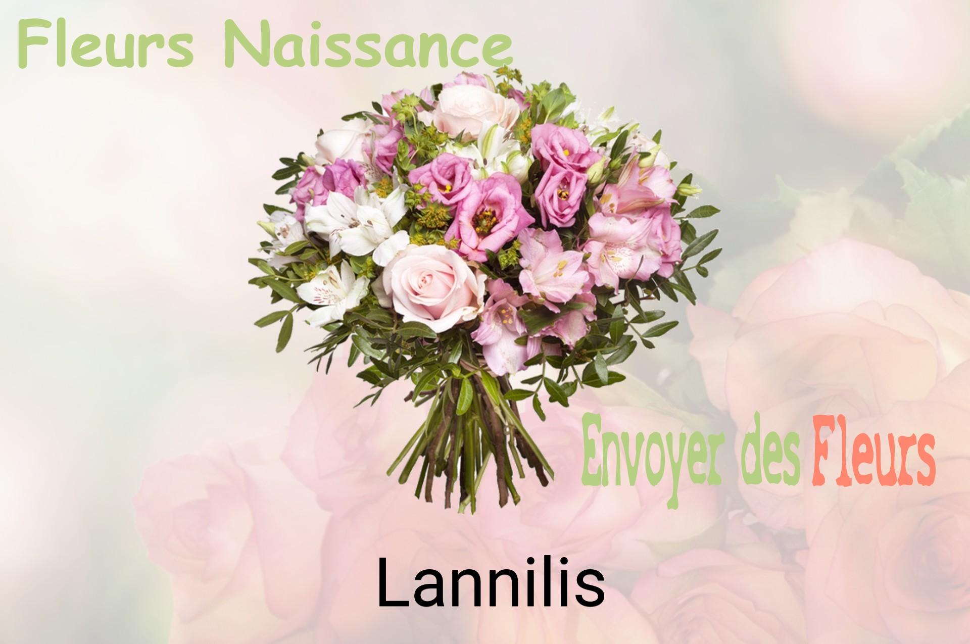 Bouquet de fleurs de naissance livré à Lannilis